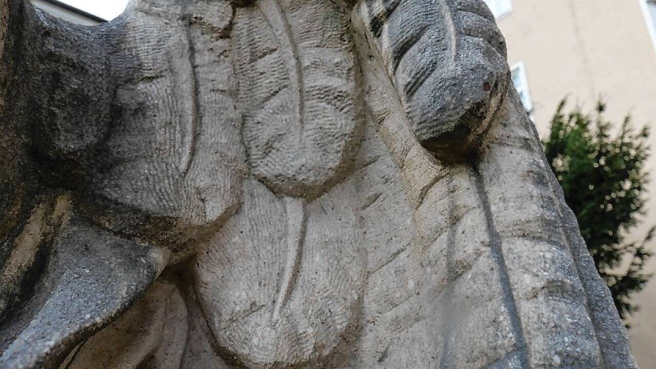 Flügeldetail.  