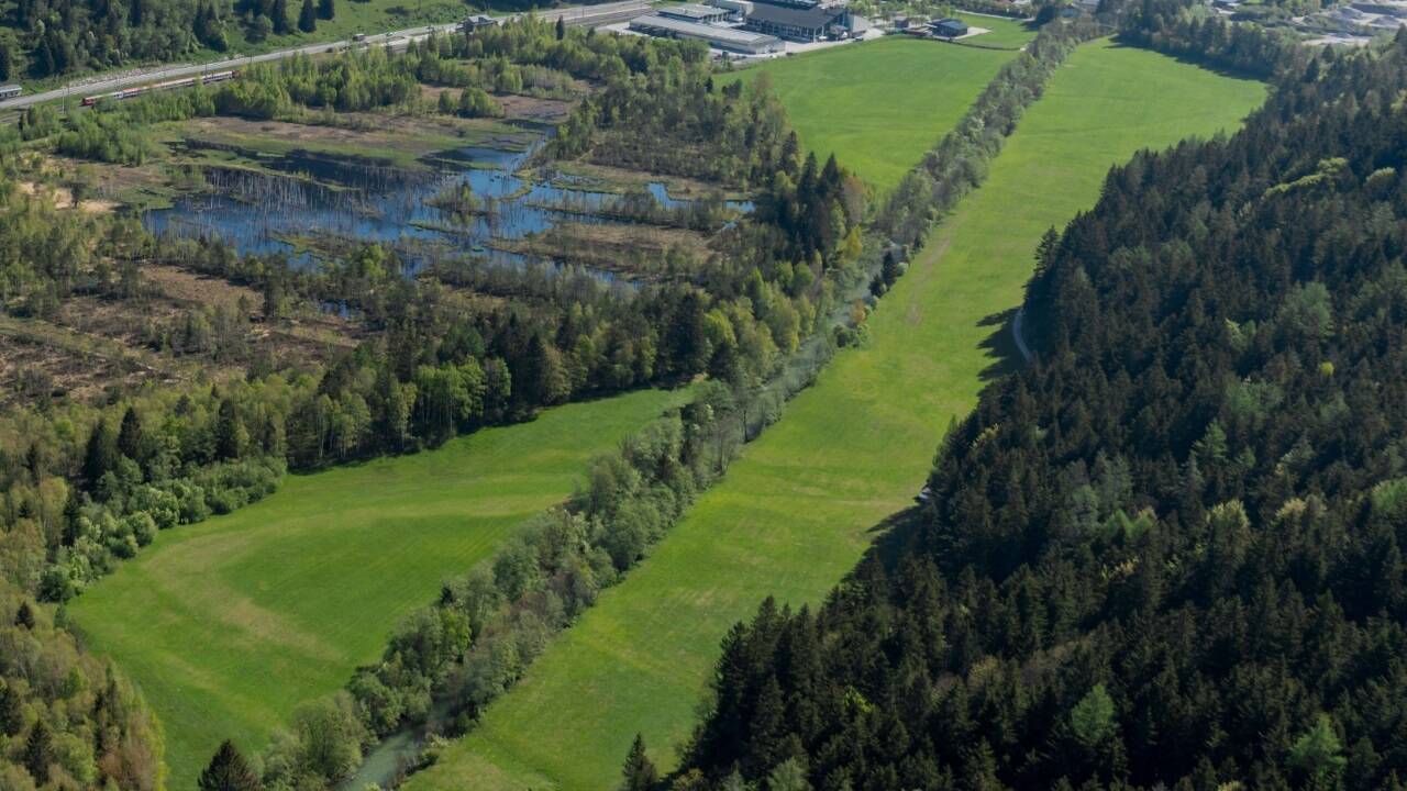 1980 wurde die Enns bei Mandling für landwirtschaftliche Zwecke begradigt.  