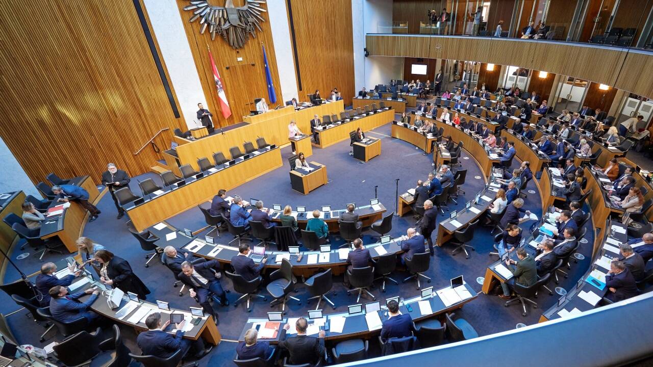 183 Abgeordnete sitzen im Nationalrat in Wien. Im Herbst wird die Zusammensetzung neu gewählt. 