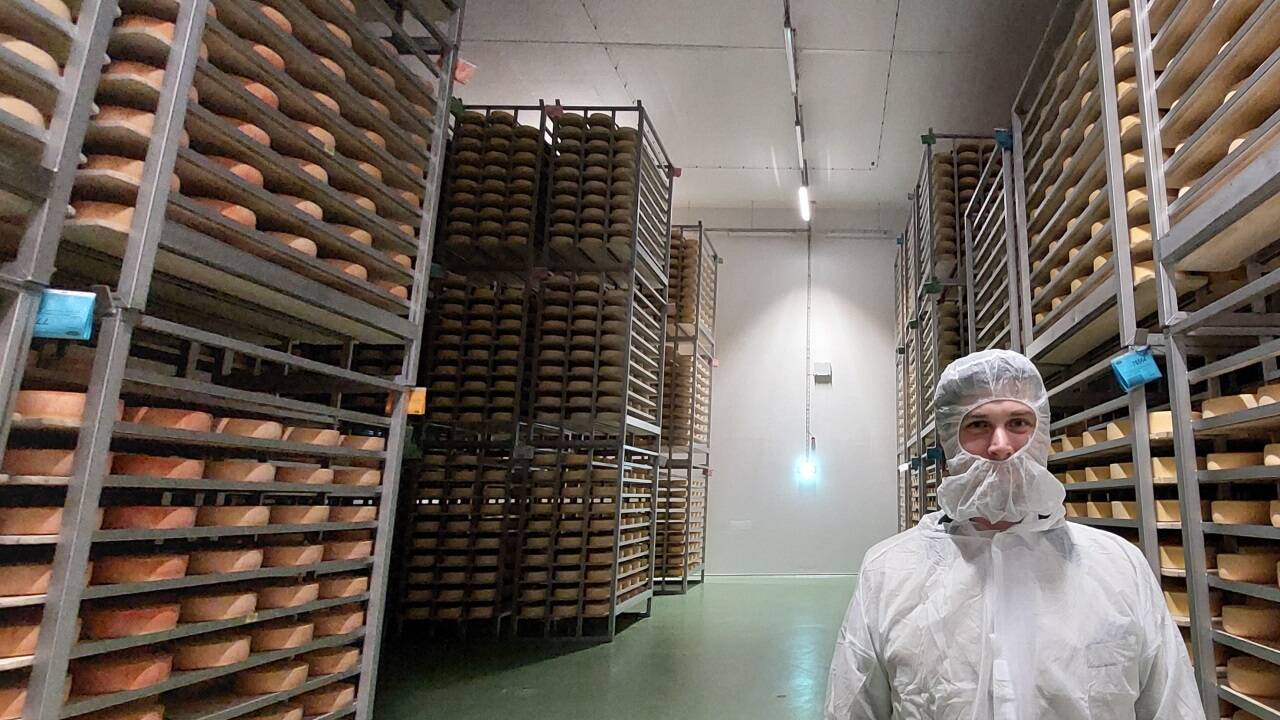 Vom Prokuristen zum Geschäftsführer der Pinzgau Milch: Martin Kubinzky-Papik im Käselager.  