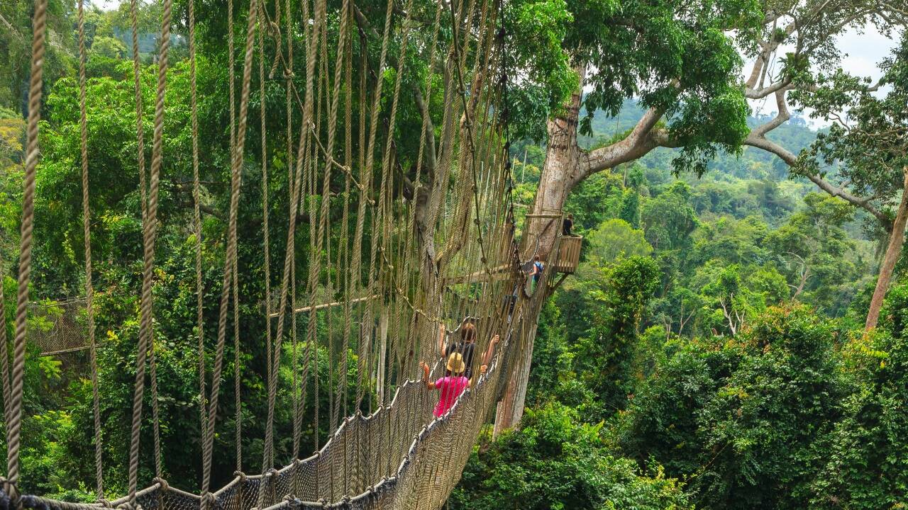 Canopy-Parcours im Kakum-Nationalpark. 