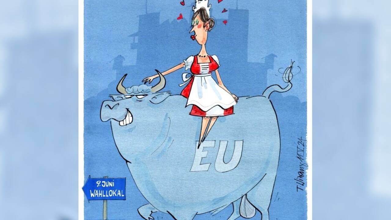 sEUzburger Stier ... sEUzburger Stier ...