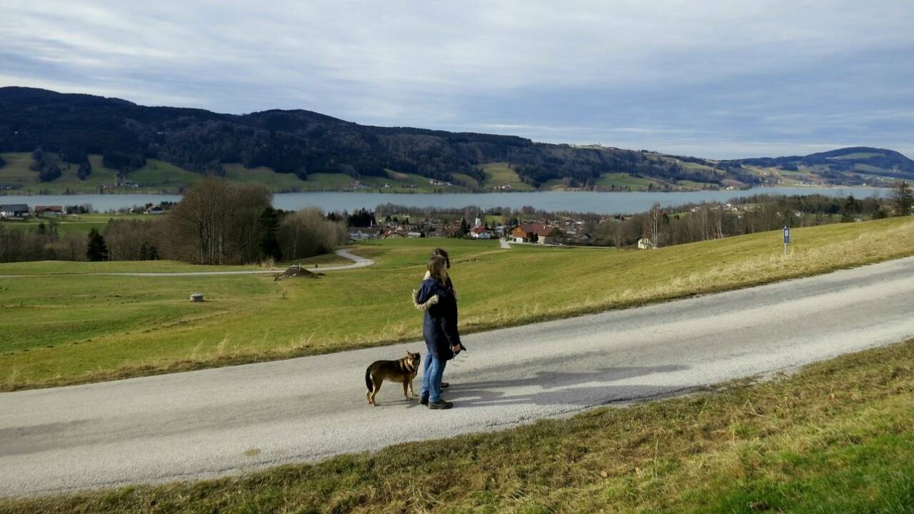 Der Duft des Frühlings Der Duft des Frühlings