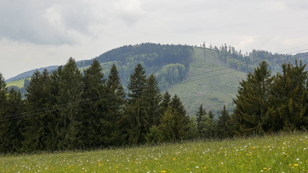 Der Lehmberg im Salzburger Flachgau. Unbekannte zündeten eine Traktorzugmaschine an. Die Polizei ermittelt, ob ein Zusammenhang mit dem umgeschnittenen Windmessmast besteht.  