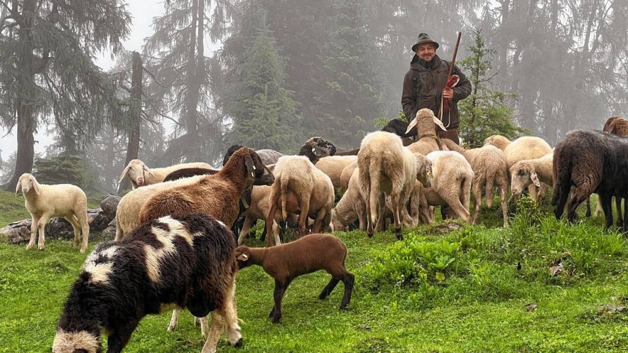 Auch Herdenschutz und Wolf sind Themen in der EU. 