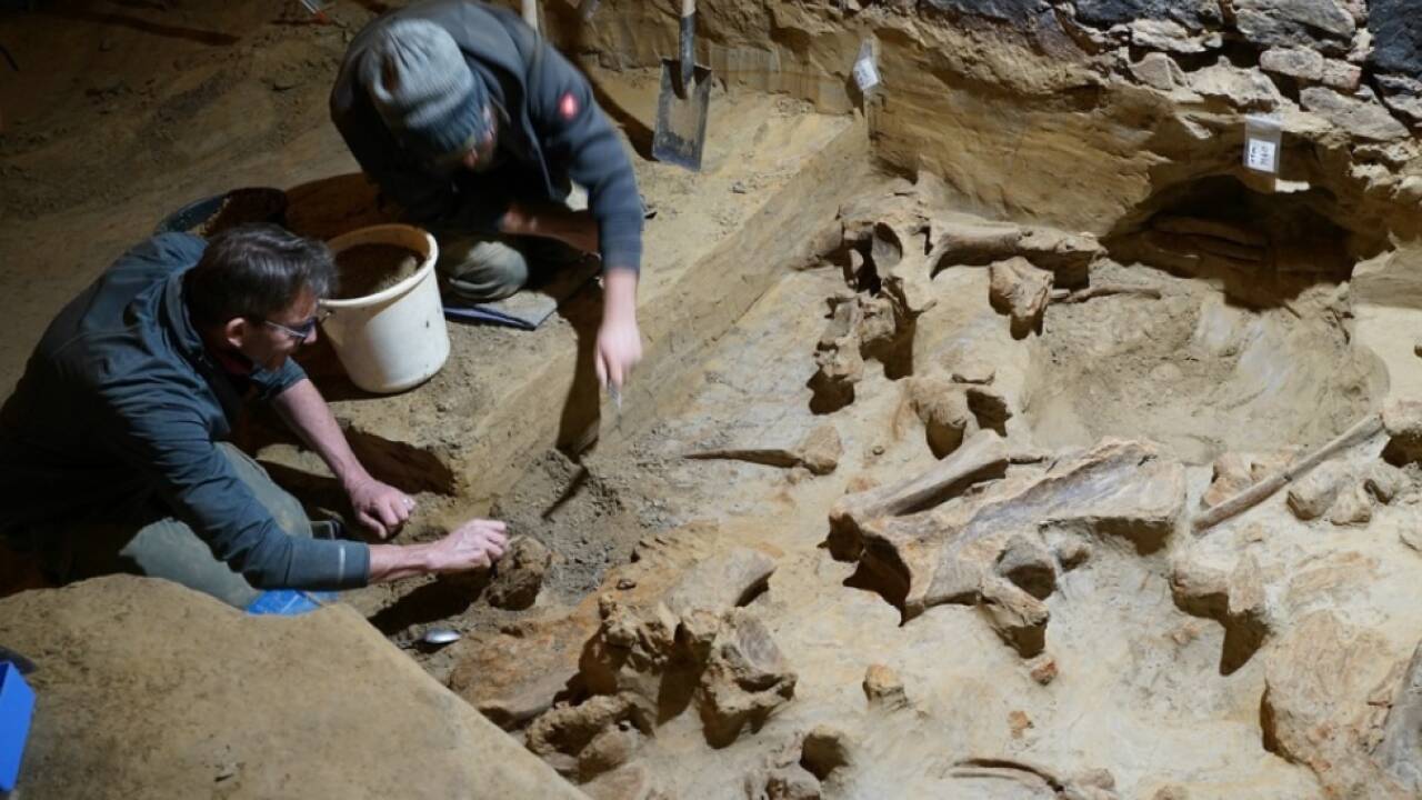 Team der ÖAI-Forschungsgruppe 'Quartärarchäologie' bei der Freilegung der Knochenlage 