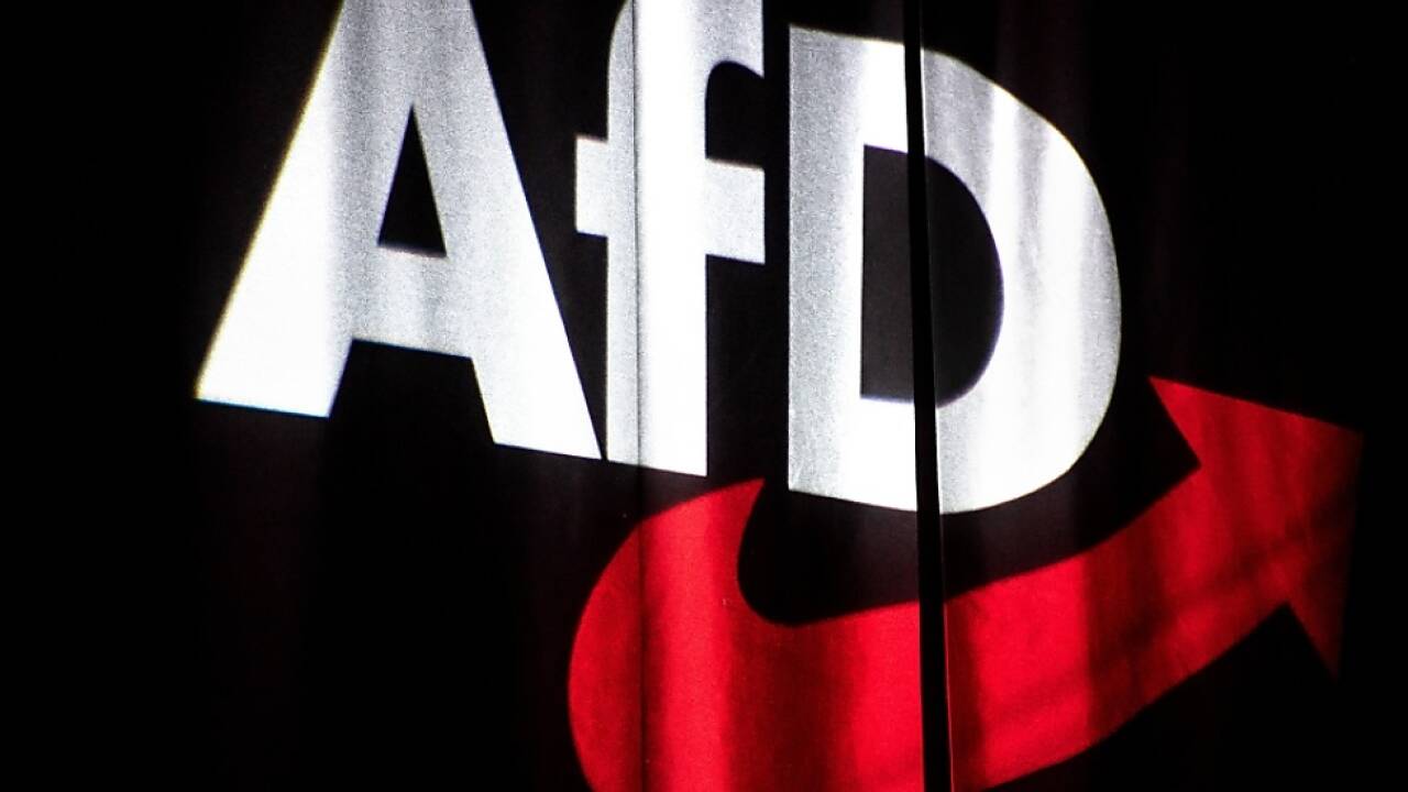 AfD aus ID-Fraktion im Europaparlament ausgeschlossen 