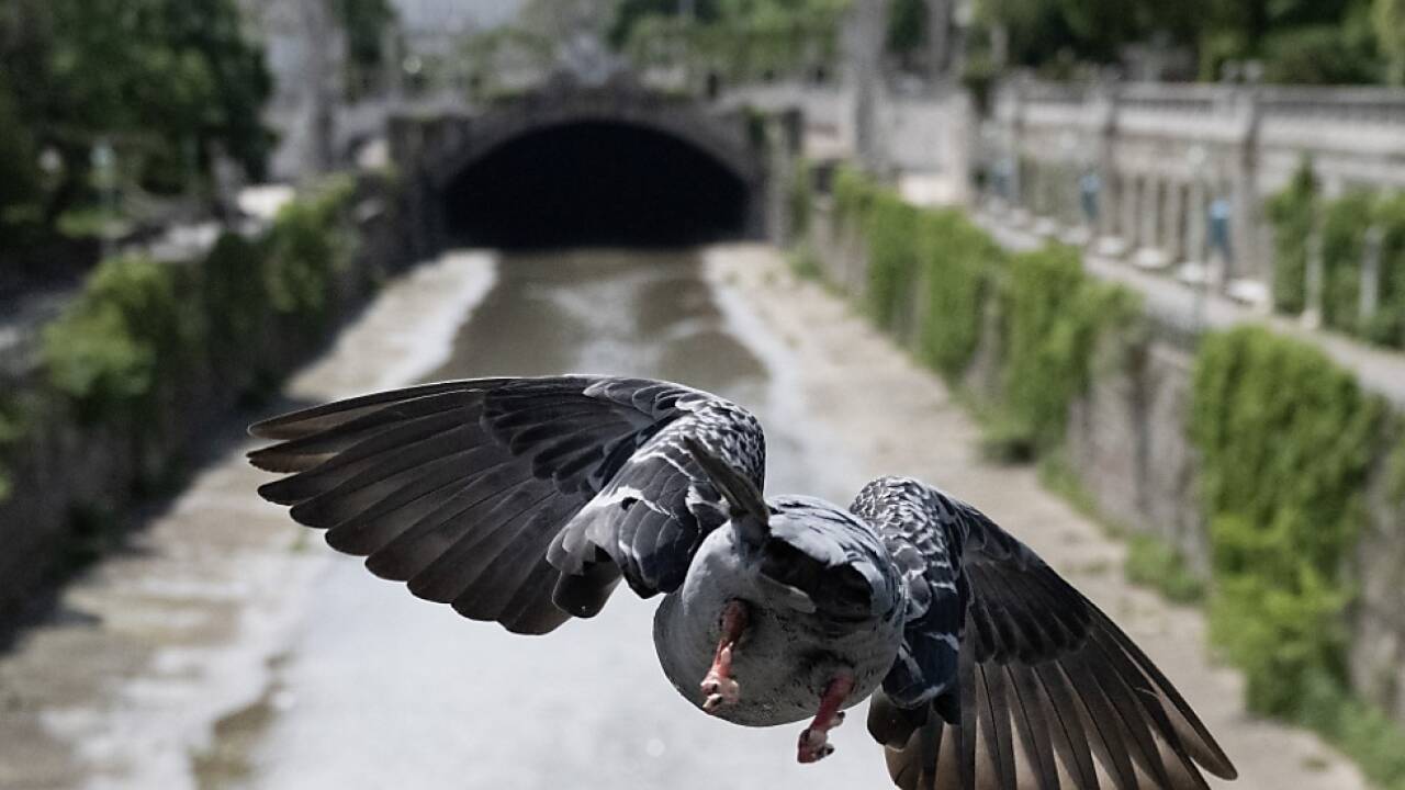 Wienfluss ist eines der betroffenen Gewässer 