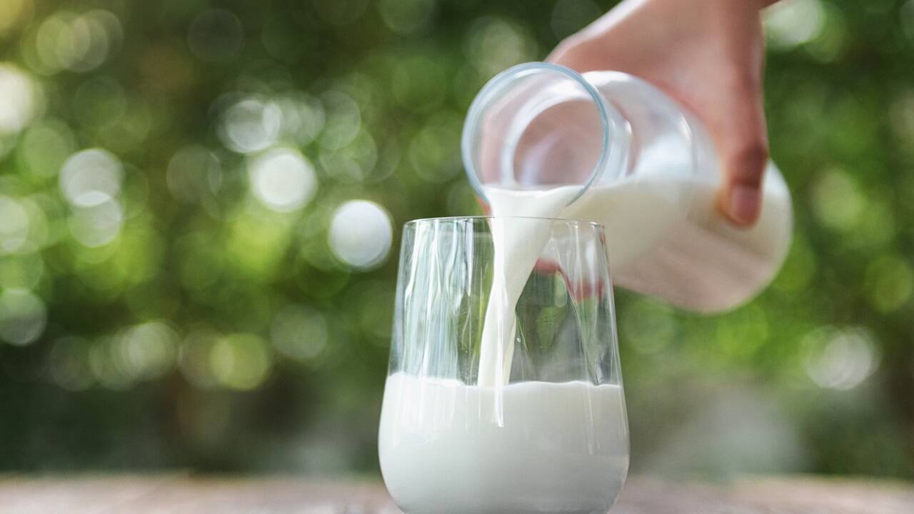 Für eine ausgewogene Ernährung sollten Milch und Milchprodukte täglich konsumiert werden. 