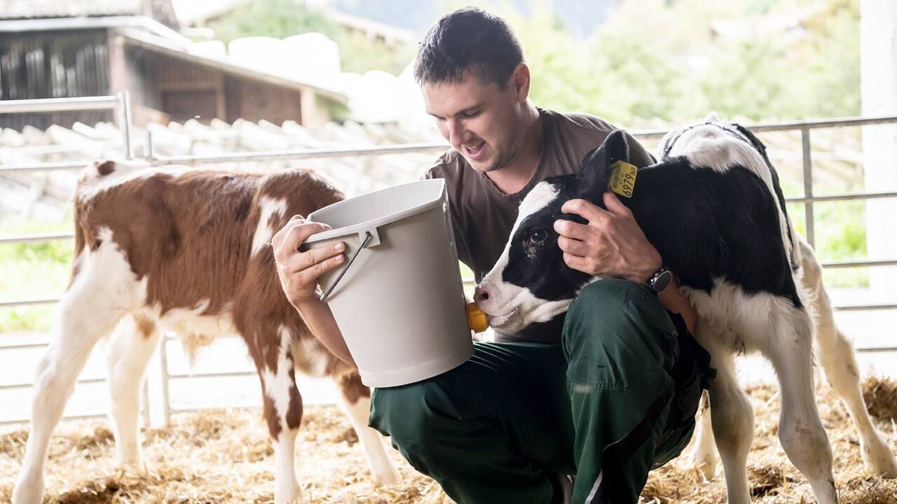 Bernhard Perwein ist mit Leib und Seele Landwirt.  