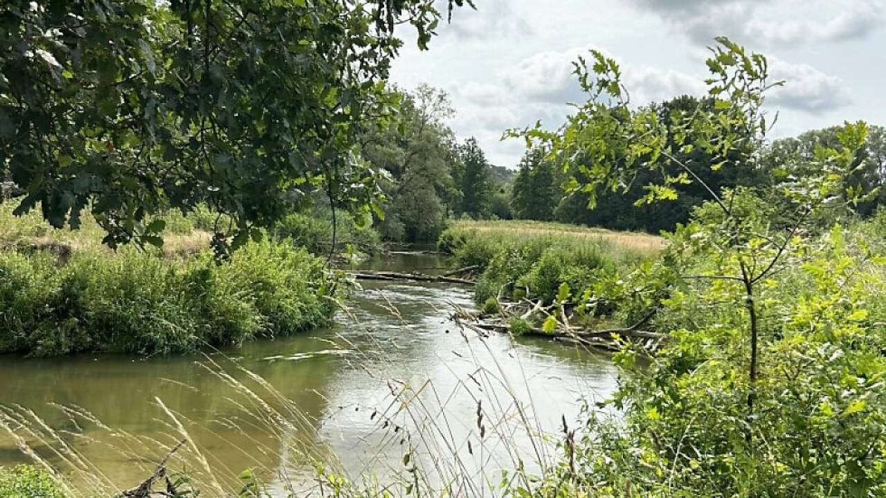 WWF sieht Auftrag an die Politik 