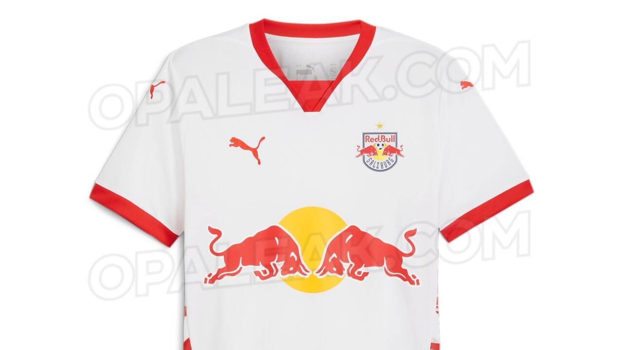 So könnte das neue Puma-Trikot der Bullen aussehen. So könnte das neue Puma-Trikot der Bullen aussehen.