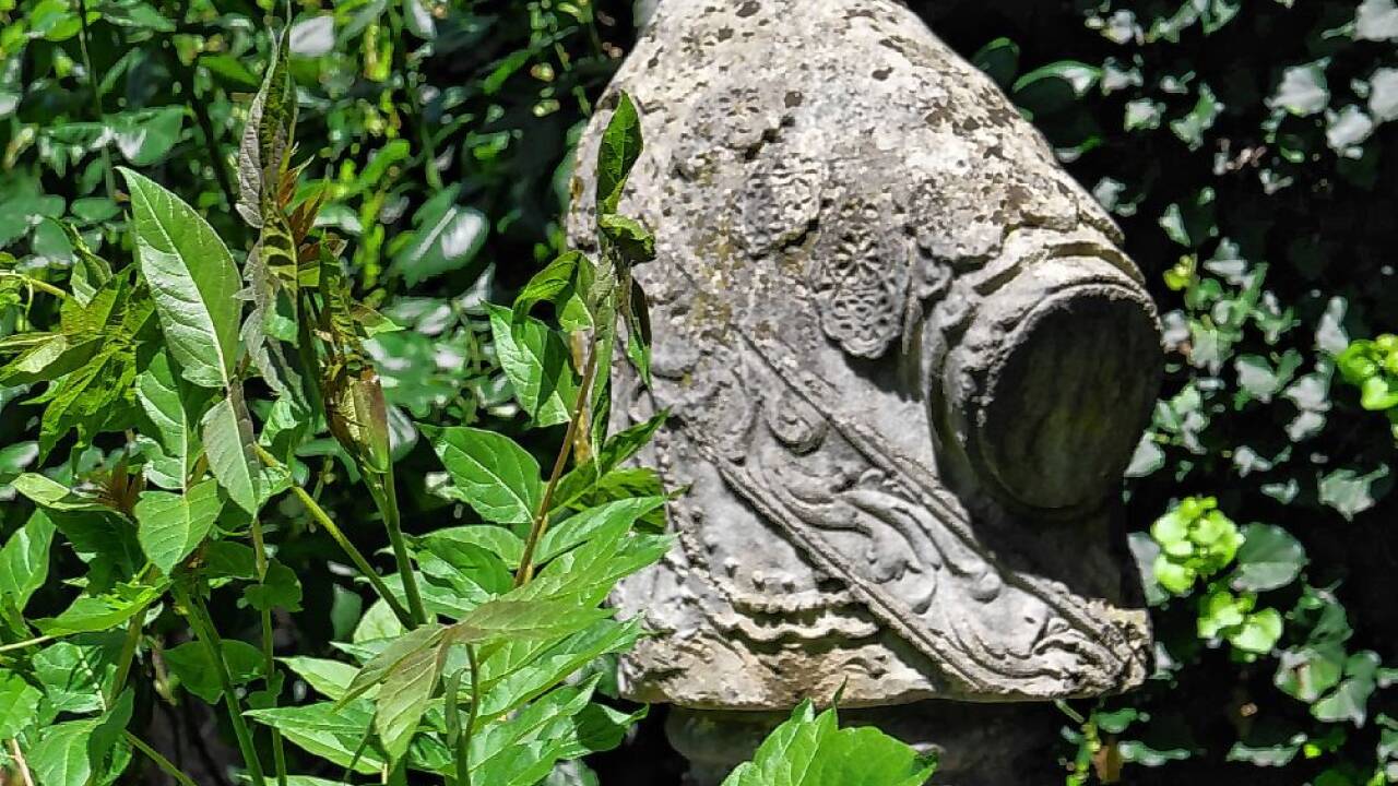 Blüten evozieren Spitzenverzierungen im Stein.  