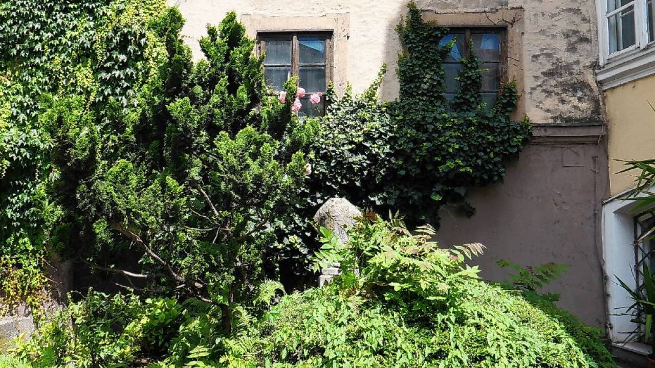 Der Steintorso im üppig sprießenden Grün.  