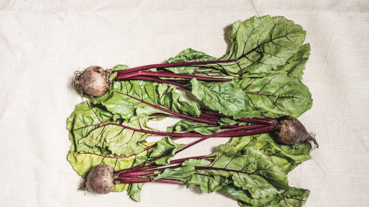 Rote Rüben sind ein Evergreen in der vegetarischen Küche. Sie schmecken auch als „Spaghetti“ und Hummus hervorragend. Mit Grünkernbratlingen ergibt das ein perfektes Mahl.  