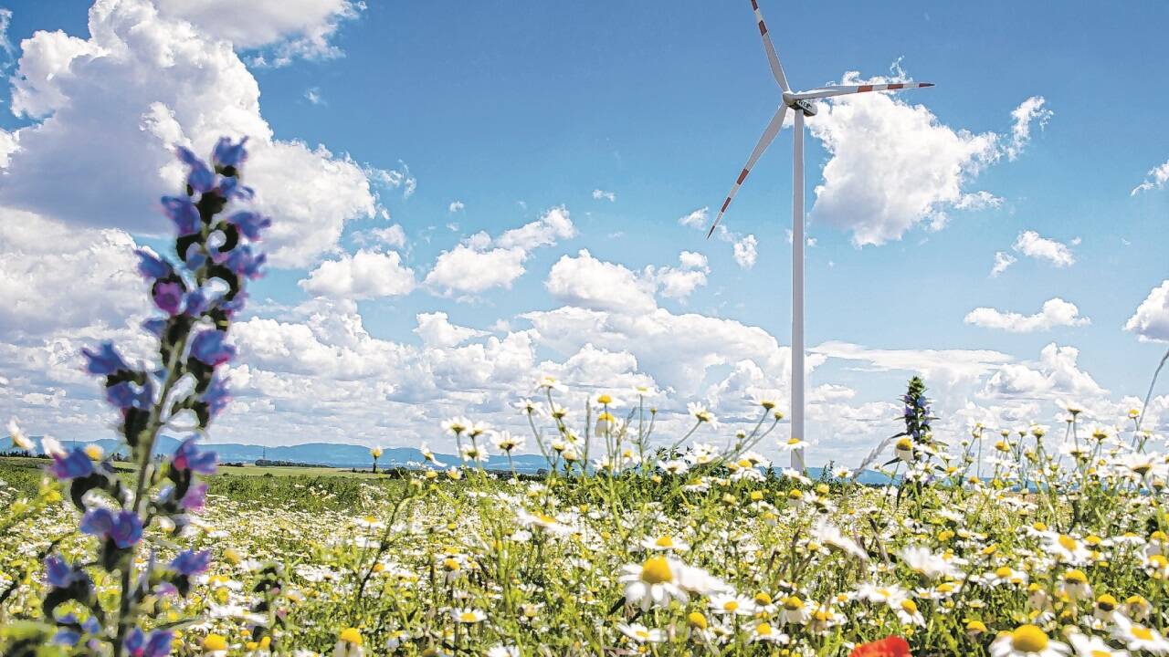 Ein Projekt des Windpioniers WEB: Der Windpark in der Gemeinde Spannberg im Weinviertel (NÖ) soll bis 2028 auf elf Räder ausgebaut werden. Die Branche sucht dringend Fachkräfte.  