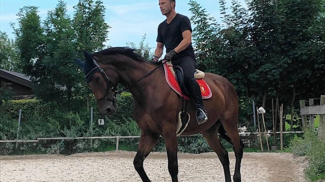 Bürgermeister Bernhard Auinger hoch zu Roß – am Sonntag dann auch beim Festumzug. Im Bild reitet er auf Bolero, einem 16 Jahre alten Warmblut aus Polen.  