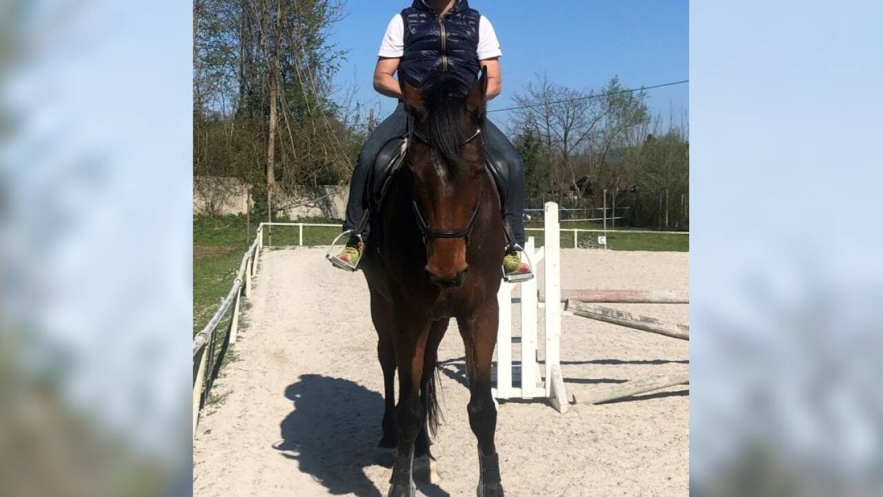 Bürgermeister Bernhard Auinger mit Bolero, einem 16 Jahre alten Warmblut aus Polen.  