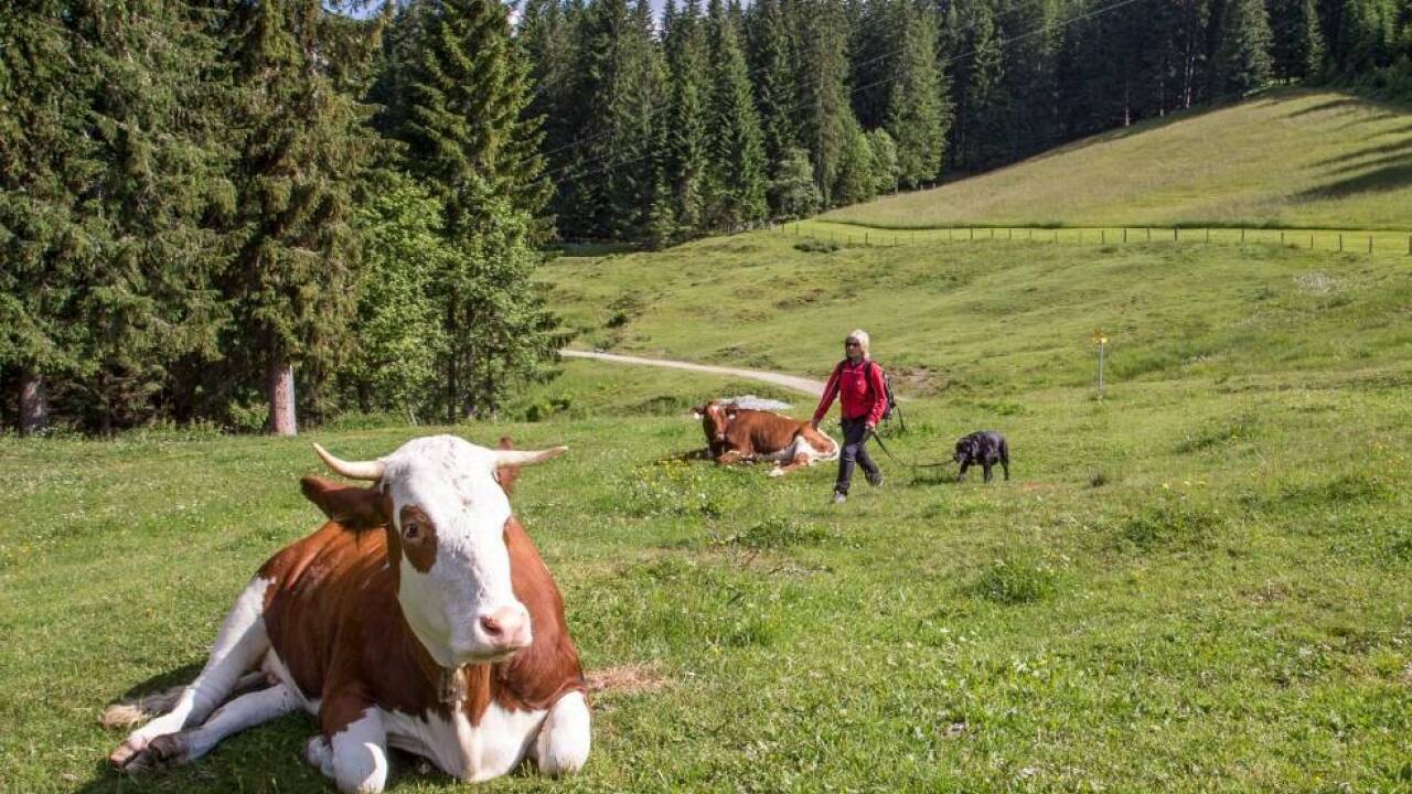 Symbolbild. 