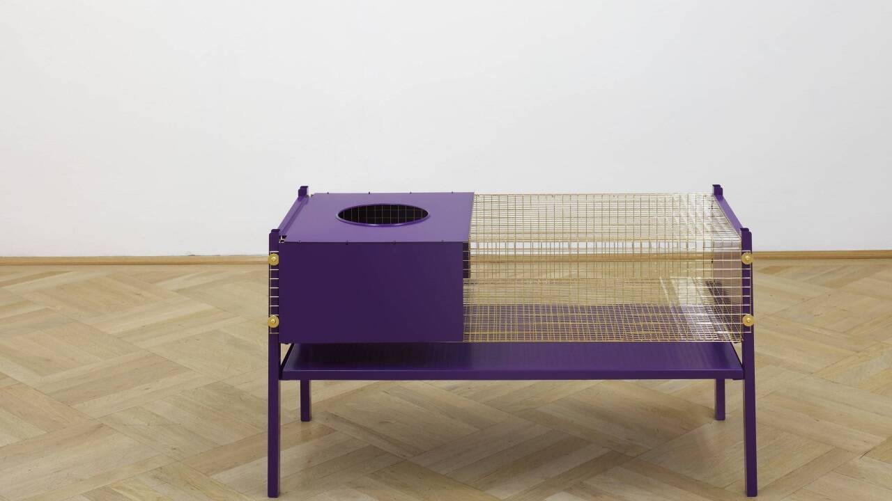 Bilder zu Eva Grubingers Ausstellung „Pagans & Peacocks“. 