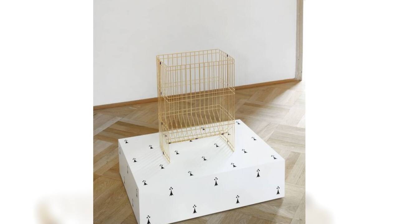 Bilder zu Eva Grubingers Ausstellung „Pagans & Peacocks“. 