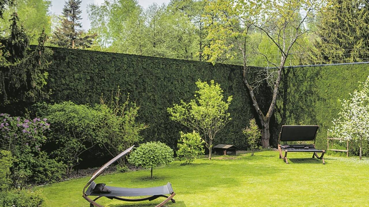 Ganze Mauern oder gar Lärmschutzwände können, mit Moos begrünt, für ein angenehmeres Klima sorgen. 