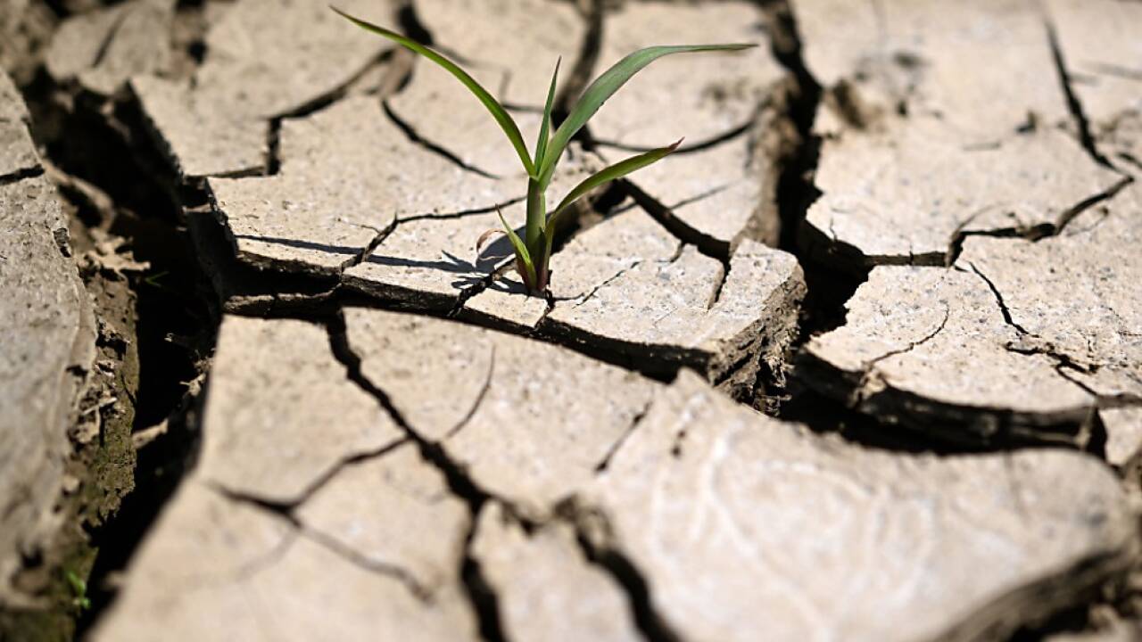 Ökonomisch schlechter gestellte und vulnerable Personen leiden stark Ökonomisch schlechter gestellte und vulnerable Personen leiden stark