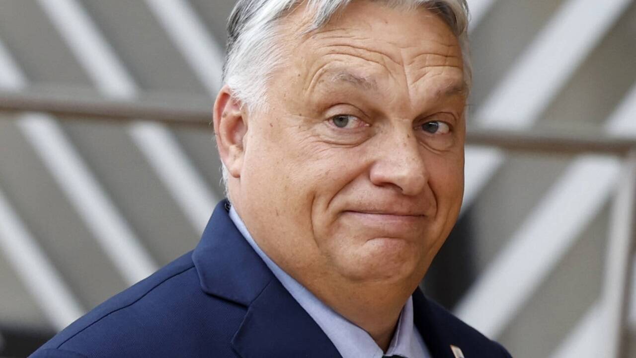 Der ungarische Premier Viktor Orban, seit 2010 an der Macht. 