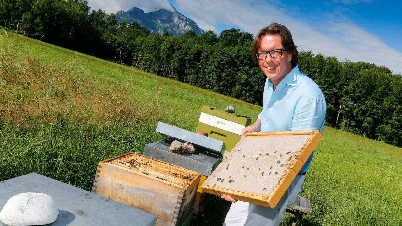 Ein Blick in Thomas Bodmers Bienenstöcke zeigt: Alles summt prächtig.  