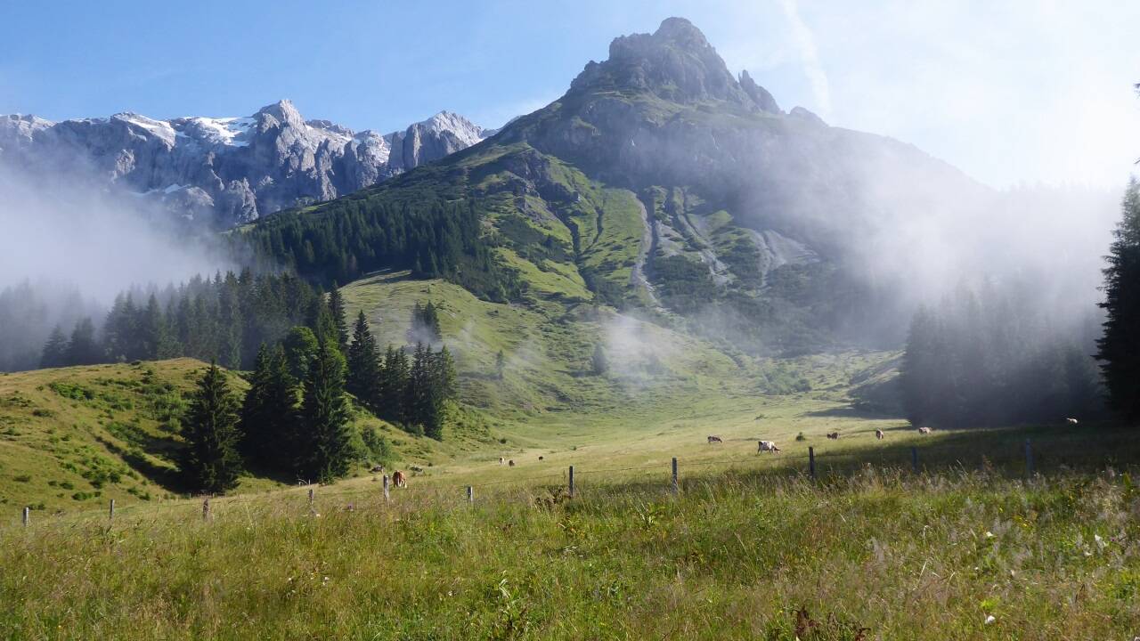 Die Taghaube am Weg zur Erichhütte mit dem Hochkönigmassiv im Hintergrund.  