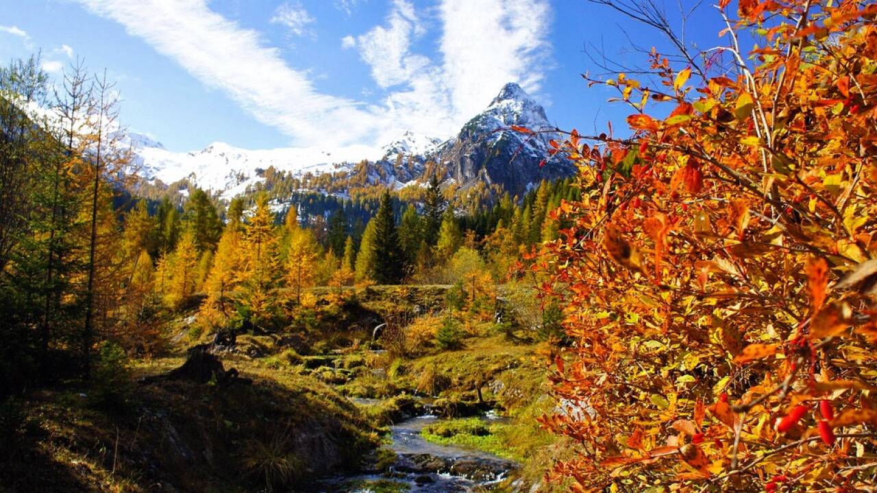 Im Herbst ist das Wandern besonders beliebt.  