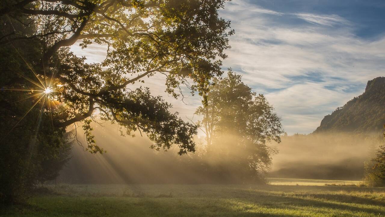 An einem Oktobermorgen in Fürstenbrunn. 