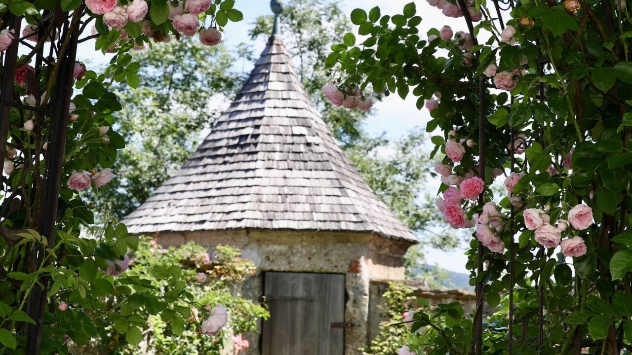 Rund 40 alte beschriftete Rosenarten blühen im Rosengarten, in dem man nicht nur Hochzeit feiern, sondern sich auch in Entspannungstechniken wie Yoga üben kann. 