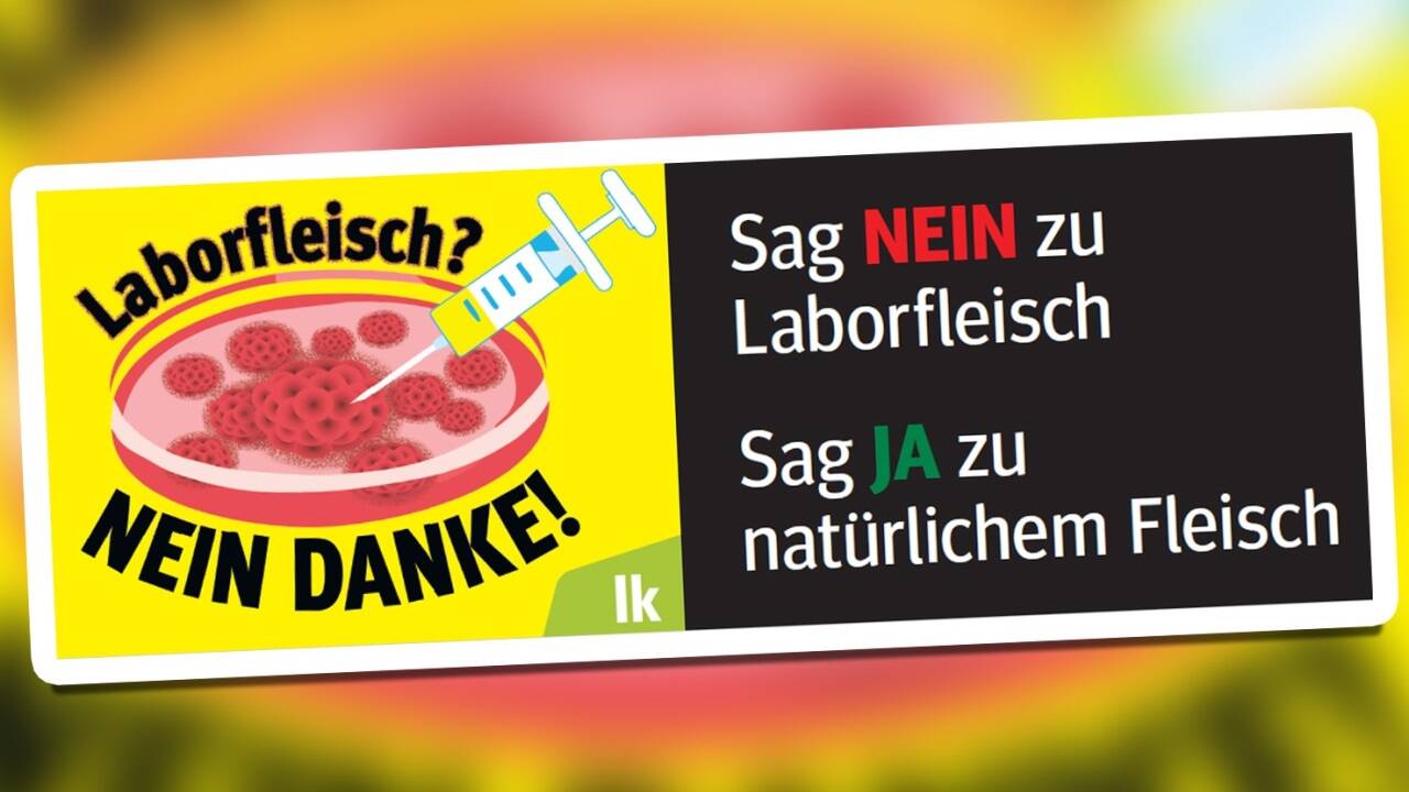 In Kärnten machen jetzt Landwirtschaftsvertreter gegen Laborfleisch mobil. 