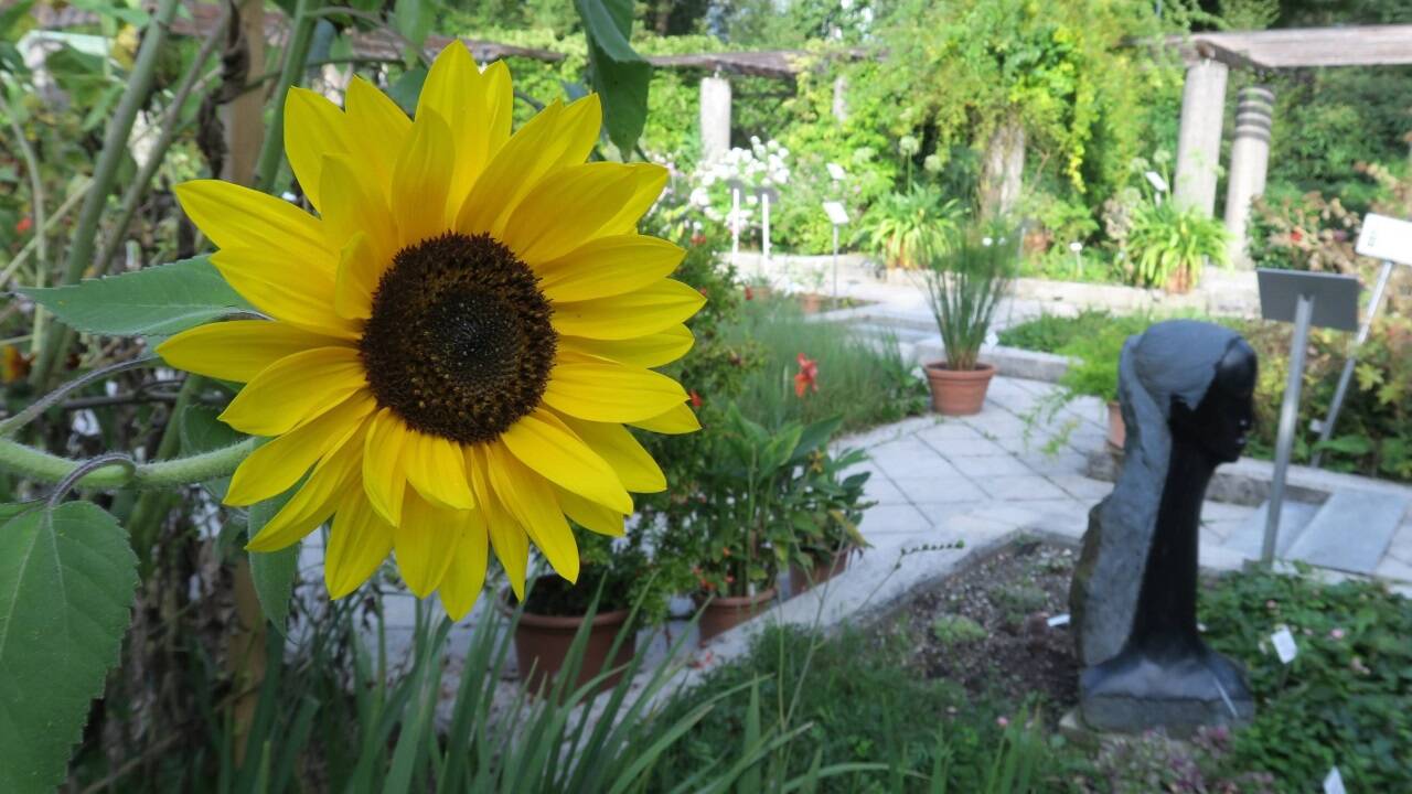 Der botanische Garten der Nawi in Salzburg 