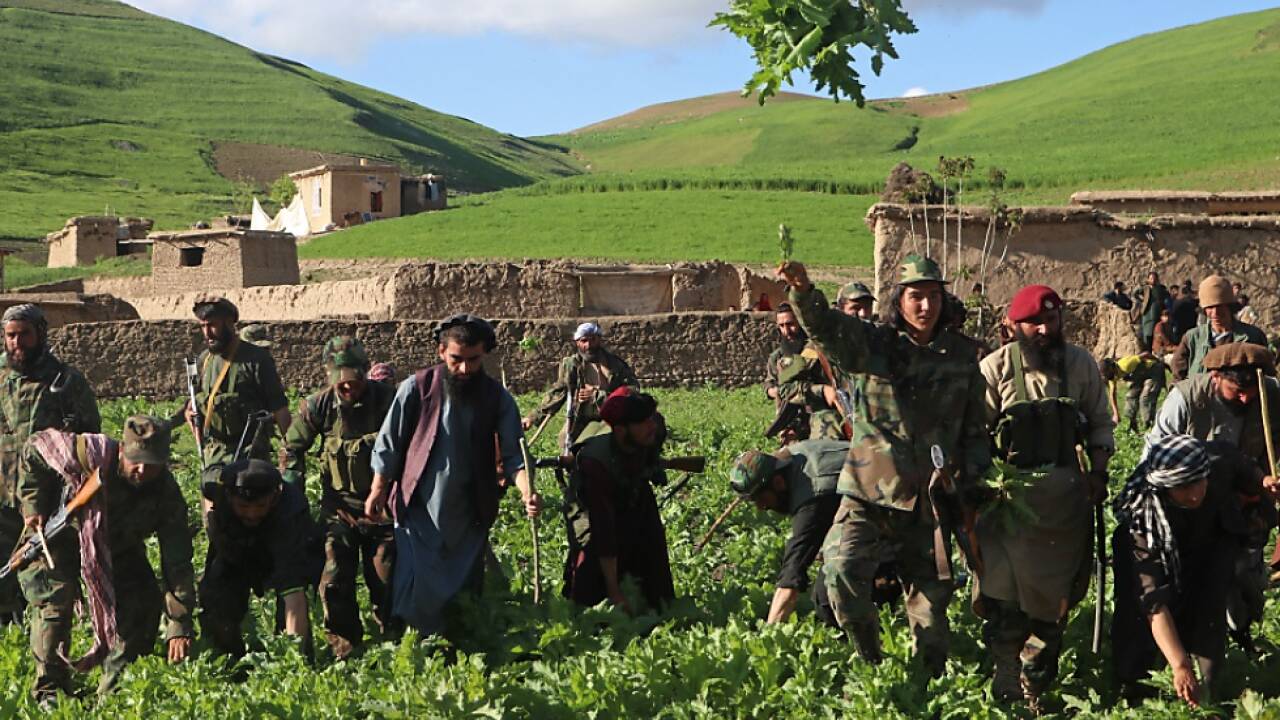 Sicherheitslage in Afghanistan angeblich verbessert  Sicherheitslage in Afghanistan angeblich verbessert