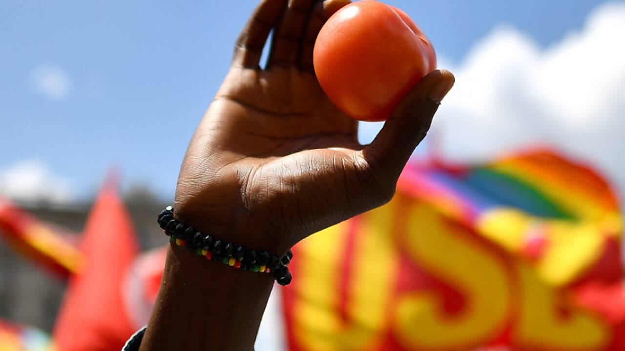 Sklavenähnliche Arbeitsverhältnisse in Italien sorgen für Entsetzen  Sklavenähnliche Arbeitsverhältnisse in Italien sorgen für Entsetzen