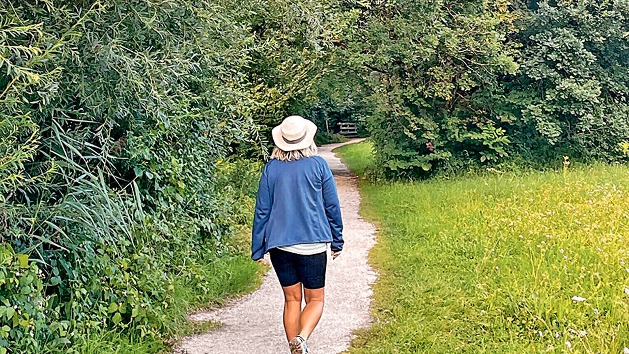 Ein Waldspaziergang stärkt nachweislich das Immunsystem.   Ein Waldspaziergang stärkt nachweislich das Immunsystem.