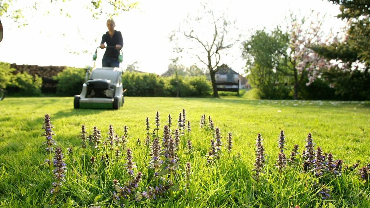 Salzburg könnte (wieder) aufblühen