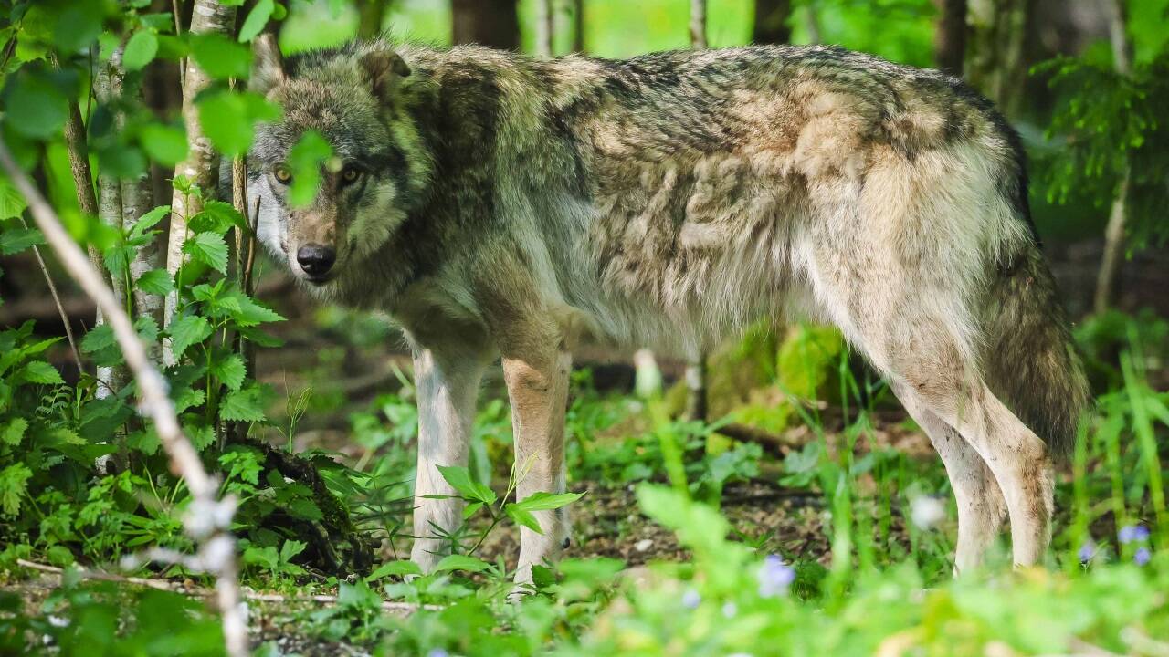 Symbolbild.  Symbolbild.