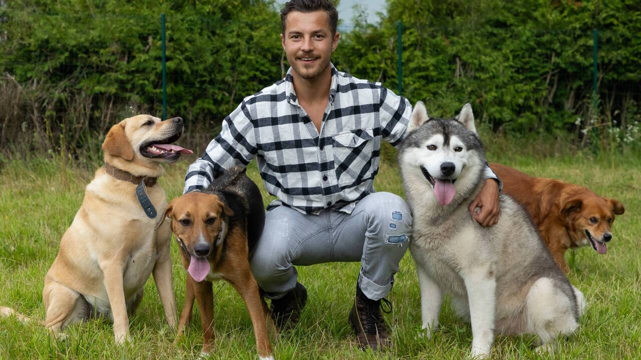 Dog Daddy Luca Bichler passt auf Hunde in Salzburg auf 
