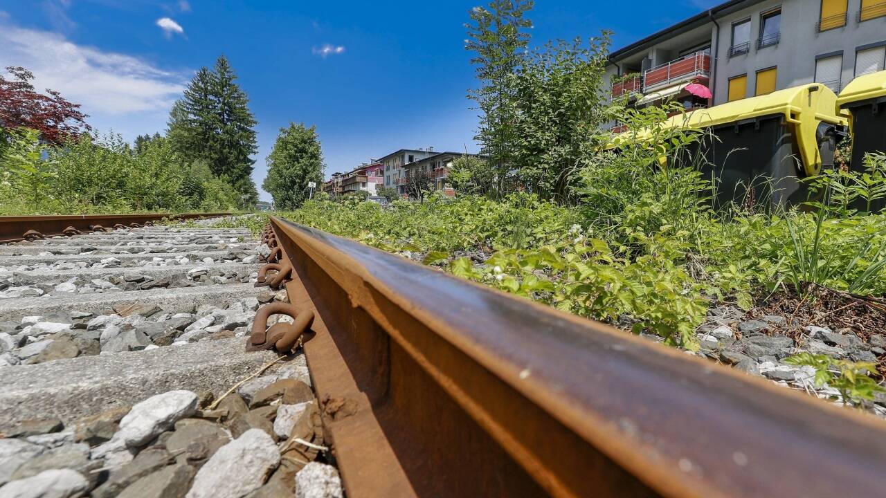 Wo soll der S-Link bis nach Hallein fahren? Diese Frage bewegt Politik, Planer und Bevölkerung. Am Bindergleis in Neualm (Hallein) hätte der S-Link auch verlaufen können. Von diesen Plänen wurde aber abgerückt. Wo soll der S-Link bis nach Hallein fahren? Diese Frage bewegt Politik, Planer und Bevölkerung. Am Bindergleis in Neualm (Hallein) hätte der S-Link auch verlaufen können. Von diesen Plänen wurde aber abgerückt.