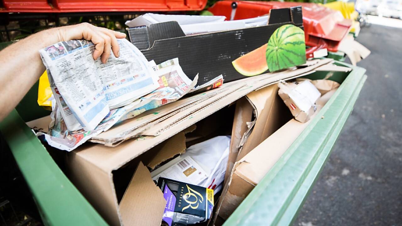 Jüngere oft unsicher, welcher Abfall in welche Tonne gehört 