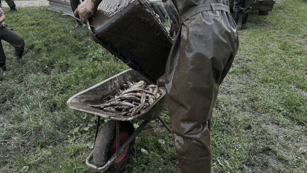 Aufräumarbeiten bei zerstörter Fischzucht 