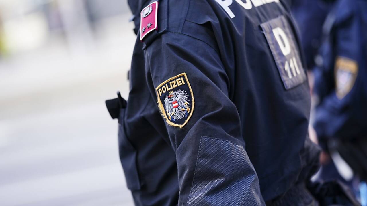 Zahlreiche Festnahmen bei Identitären-Demo in Wien (Symbolbild) 