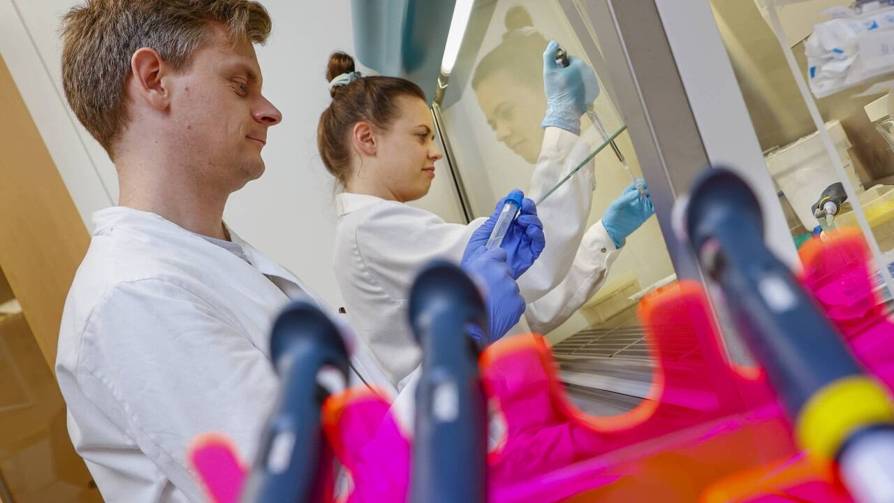 Peter Krenn und Gunda Üblagger forschen im Labor der Uni Salzburg an Krebszellen und ihrer Durchsetzungsfähigkeit.  