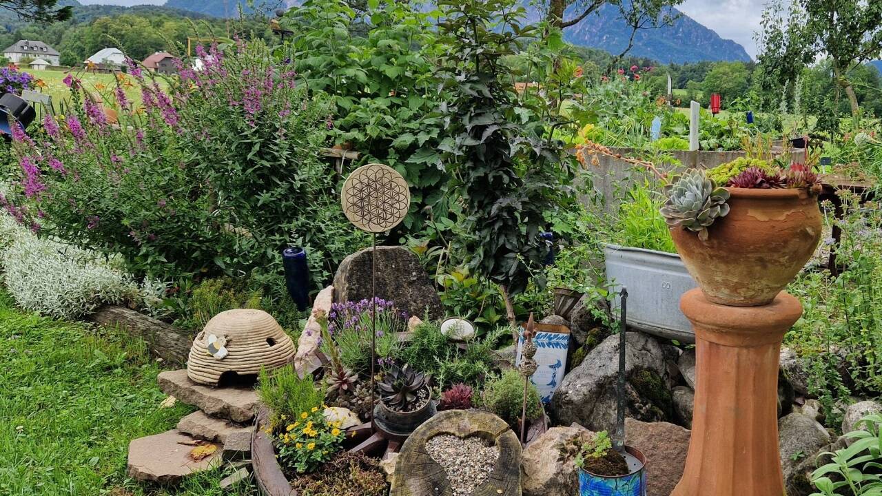 Es gibt viel zu entdecken, wie das alte, bewachsene Wagenrad.   Es gibt viel zu entdecken, wie das alte, bewachsene Wagenrad.