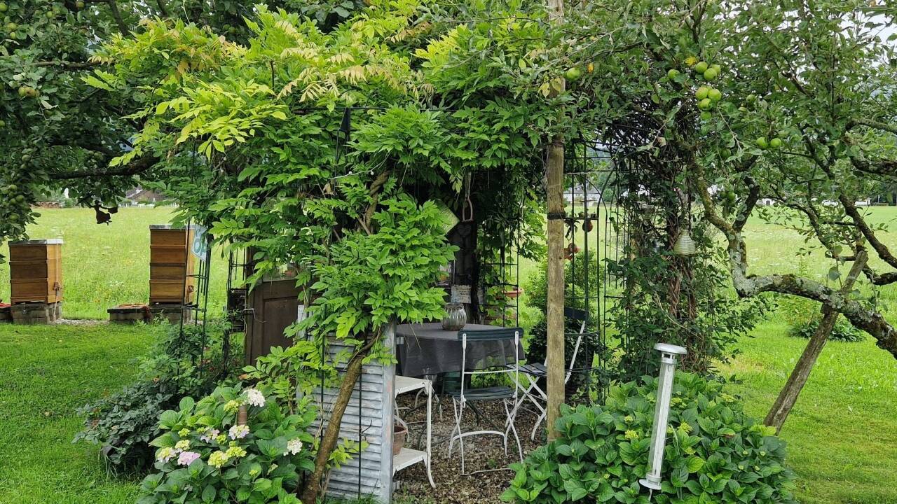 Ein grün bewachsener Pavillon bietet Schutz vor Sommerhitze.   Ein grün bewachsener Pavillon bietet Schutz vor Sommerhitze.