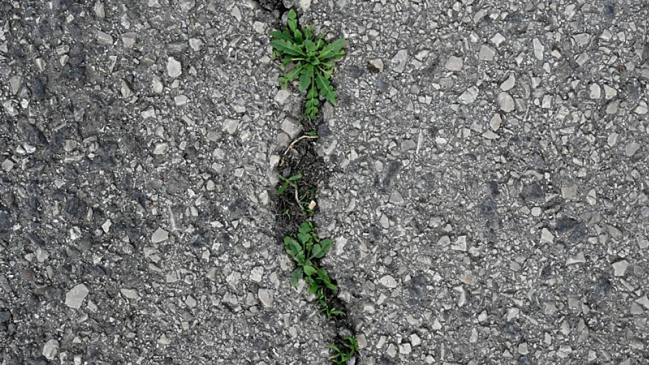Greenpeace-Aktion gegen Bodenversiegelung 