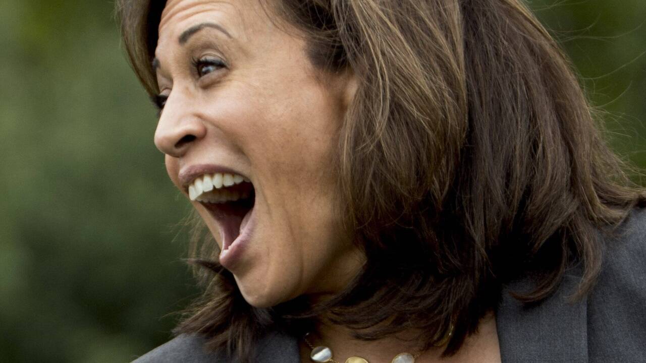 Kamala Harris wird als Katzenfrau bezeichnet, weil sie keine Kinder hat. 